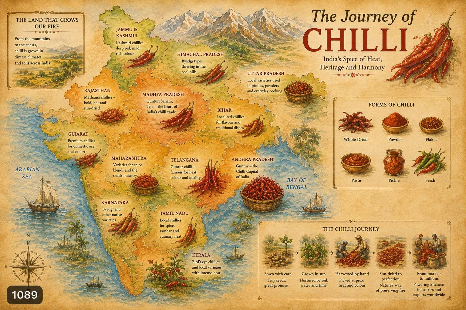 How the chilli spread across India