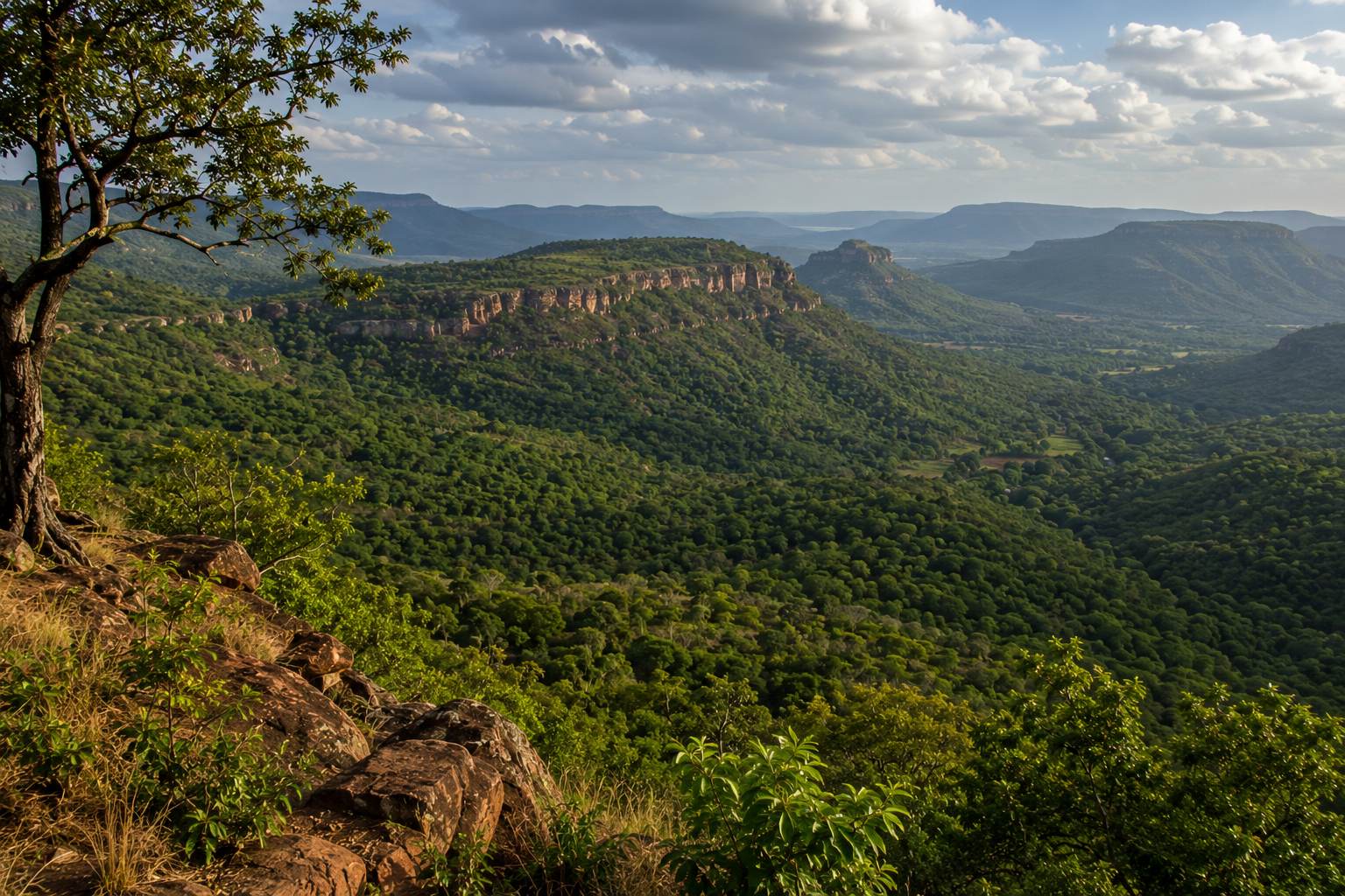 Madhya Pradesh Food Guide landscape